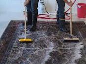 Professional Carpet Cleaning: Does Require Expert Help