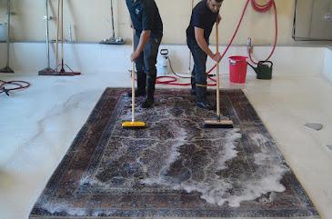 Professional Carpet Cleaning: Why Does It Require Expert Help