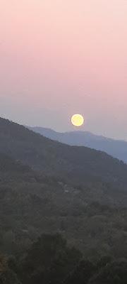 Harvest Moonrise