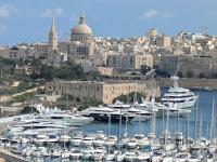 Maltese International Double