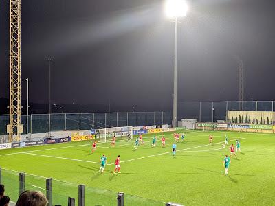 Maltese International Double Maltese International Double