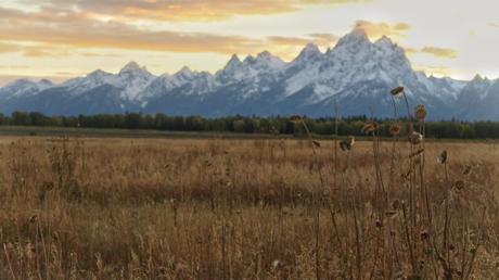 A Photographic Journey Through the Tetons