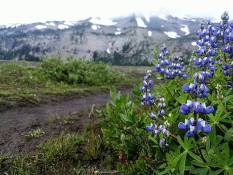 Backpacking in Oregon