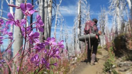 Backpacking in Oregon