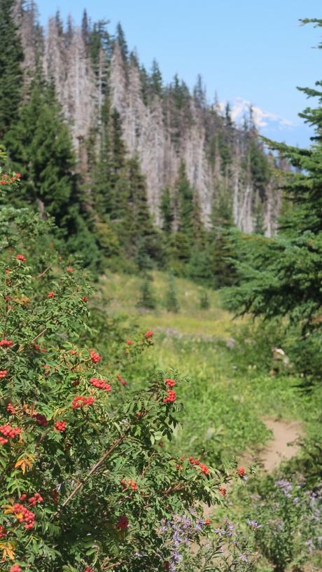 Backpacking in Oregon
