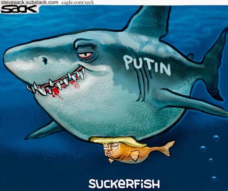 The Suckerfish