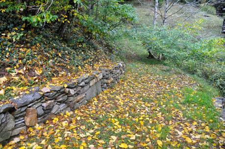 Ma Nature
