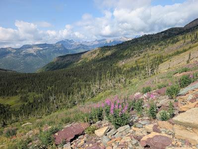 National Parks (E1): 2026 I