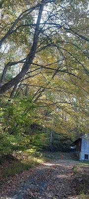 Autumn Afternoon