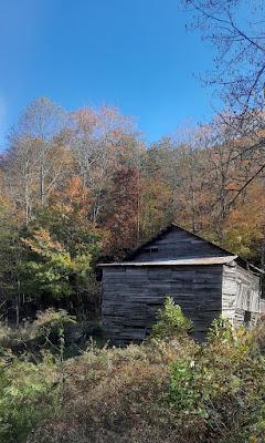 Autumn Afternoon