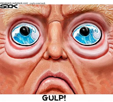 He Sees The Blue Wave Coming