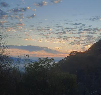 The eastern sky was amazing yesterday morning and I'd jus...