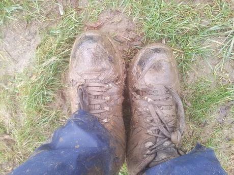 Lansdown; Feet Wet