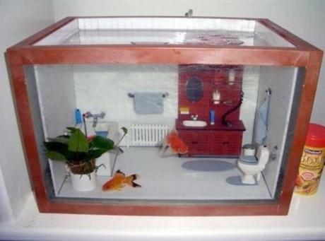 The World’s Top 10 Best Themed Fish Tanks