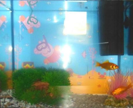 Peppa Pig Themed Aquarium The World’s Top 10 Best Themed Fish Tanks