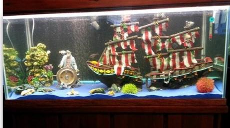 Pirate Themed Aquarium The World’s Top 10 Best Themed Fish Tanks