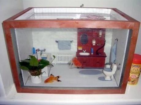 House Themed Aquarium The World’s Top 10 Best Themed Fish Tanks