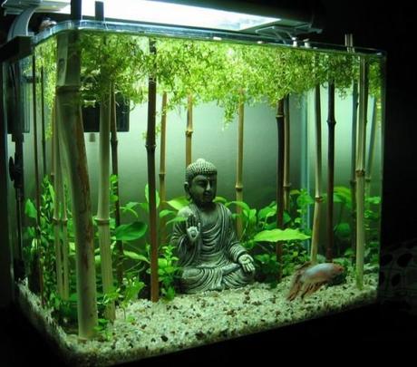 Bamboo Forest Themed Aquarium The World’s Top 10 Best Themed Fish Tanks