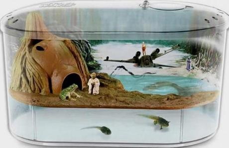 Dagobah Frog Habitat Themed Aquarium The World’s Top 10 Best Themed Fish Tanks