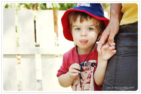 A Photographic Journal of a Day at a Waldorf Playgroup