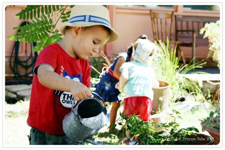 A Photographic Journal of a Day at a Waldorf Playgroup