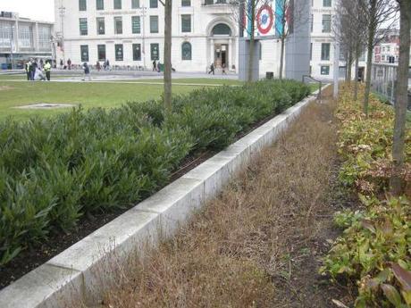 General Gordon Square, Woolwich - Step in Planting