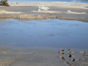 Dave’s Odyssey #13