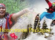 Discover Some Best Romantic Destinations with Honeymoon Packages India