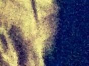 Woman's Hair Crown Glory