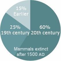 List Of Mammals Extinct After 1500 AD