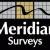 meridian surveys