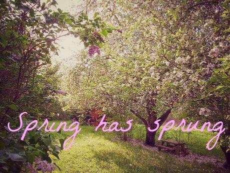 Spring Has Sprung