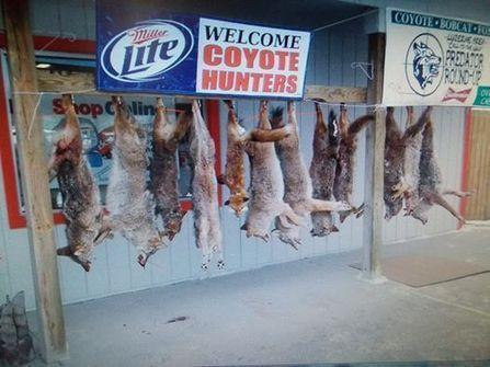 Welcome to Hell, Coyote Hunters