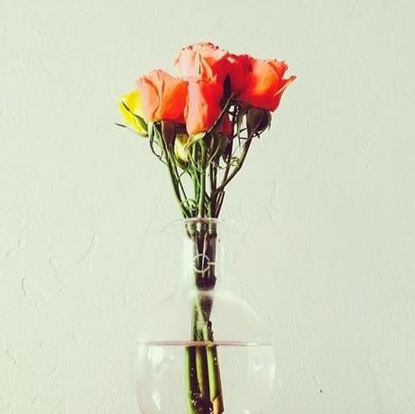 roses-design-crush-instagram
