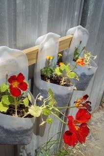 milk-jug-flower-pots