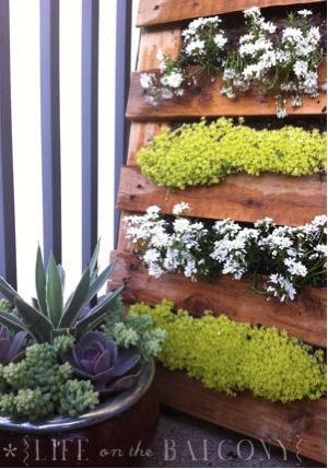 Pallet Garden by Life on the Balcony