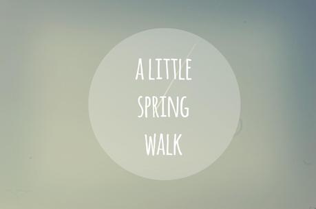 A Little Spring Walk