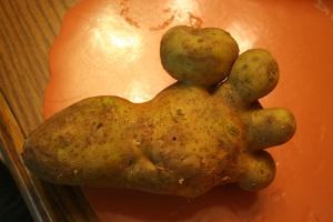 potato foot