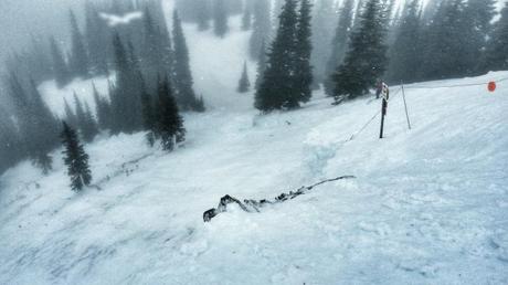 Bear Pits avalanche that wrapped around and took out part of the rope line.