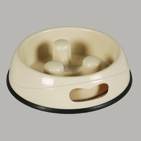 anti-gorge dog bowl