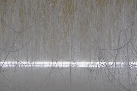 see | art exhibition