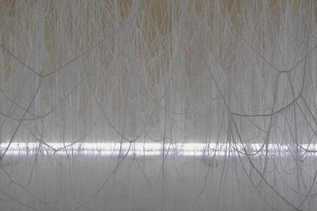 see | art exhibition