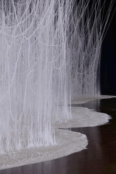 see | art exhibition