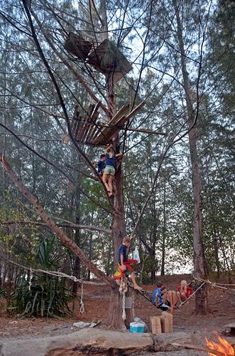 the tree fort