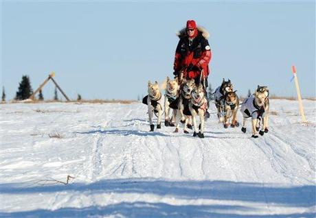 Iditarod 2014: Jeff King Leads Out Of Elim, Zirkle In Pursuit