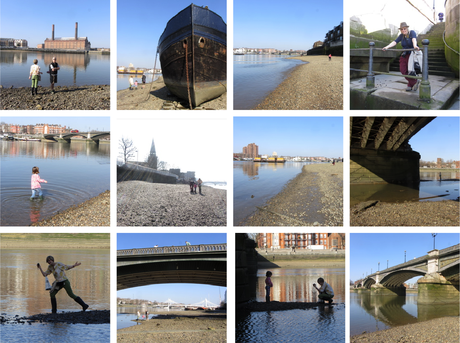 Battersea Foreshore Forage