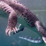 The Croc Cage Experience