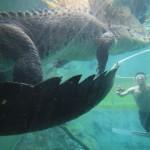 Looking on in awe at Chopper