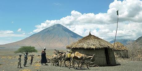 Tanzania Opens Up More Grazing Land to Drought-Hit Herders