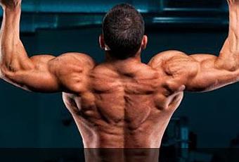 Best Exercises That Make Strong Back Muscles - Paperblog